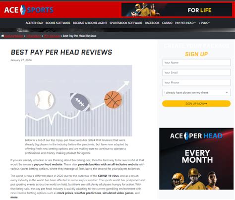 best payperhead|The 5 Best Pay Per Head Bookie Software Sites of 2024, Tested .